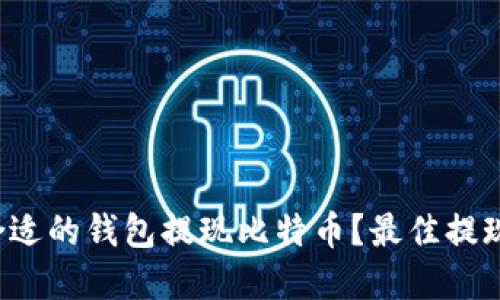 如何选择合适的钱包提现比特币？最佳提现方案揭秘！