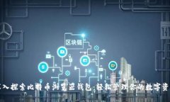 深入探索比特币浏览器钱包：轻松管理你的数字