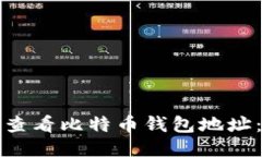 如何快速查看比特币钱包地址：全面指南