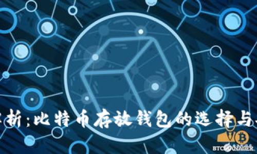 全面解析：比特币存放钱包的选择与安全性
