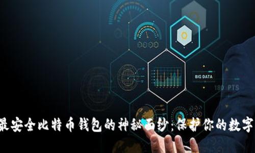 揭开最安全比特币钱包的神秘面纱：保护你的数字资产!