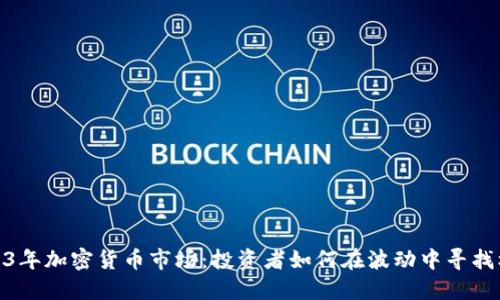 2023年加密货币市场：投资者如何在波动中寻找机遇