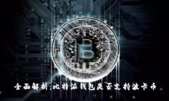 全面解析：比特派钱包是否支持波卡币