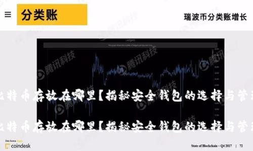 比特币存放在哪里？揭秘安全钱包的选择与管理

比特币存放在哪里？揭秘安全钱包的选择与管理
