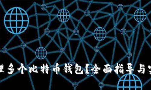 如何管理多个比特币钱包？全面指导与实用技巧