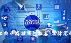 最安全的比特币存储钱包推荐：保障您的资产安