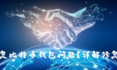 如何快速修复比特币钱包问题？详解修复过程与