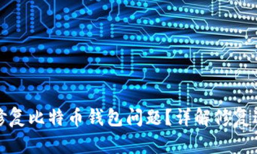 如何快速修复比特币钱包问题？详解修复过程与时间