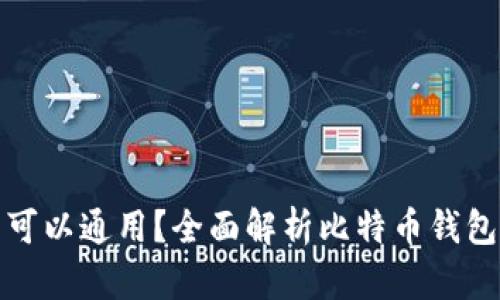 比特币钱包是否可以通用？全面解析比特币钱包的兼容性与选择