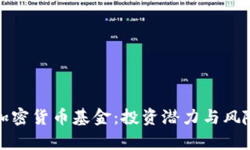 探索加密货币基金：投资潜力与风险分析