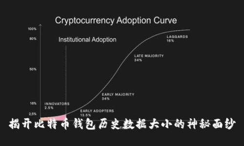 揭开比特币钱包历史数据大小的神秘面纱