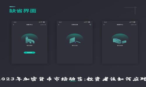 2023年加密货币市场动荡：投资者该如何应对？