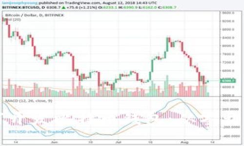 快速掌握如何开发比特币钱包：从零开始的实用指南