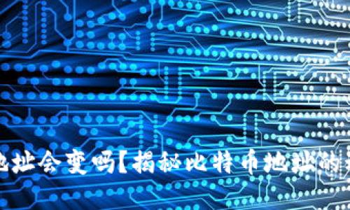 比特币钱包地址会变吗？揭秘比特币地址的动态与安全性