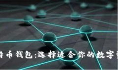 全面解析比特币钱包：选择适合你的数字资产储