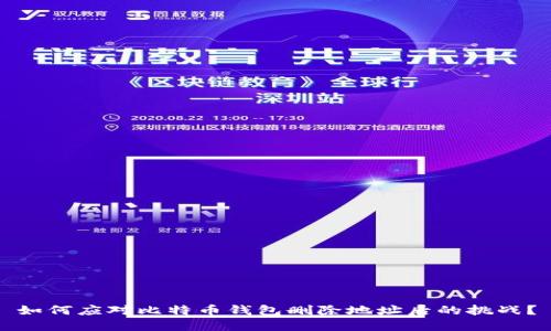 如何应对比特币钱包删除地址后的挑战？