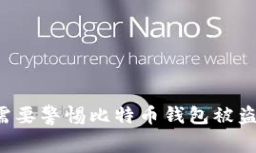 为何你需要警惕比特币钱包被盗的风险？