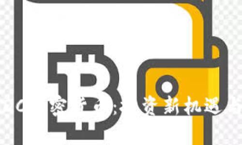 深入了解DC加密货币：投资新机遇与风险分析