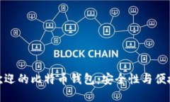 探索国内最受欢迎的比特币钱包：安全性与便捷