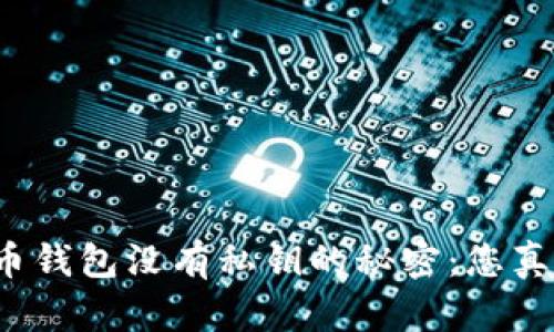揭示比特币钱包没有私钥的秘密：您真的安全吗？