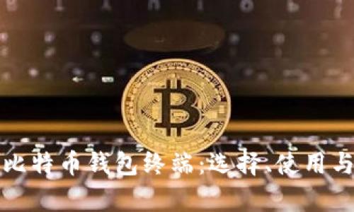 全面解析比特币钱包终端：选择、使用与安全指南