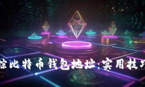 如何轻松追踪比特币钱包地址：实用技巧与工具指南