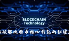 轻松破解比特币核心钱包的秘密教程