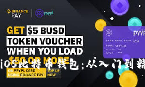 动手打造你的iOS比特币钱包：从入门到精通的完整指南