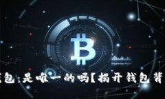 比特币钱包：是唯一的吗？揭开钱包背后的秘密