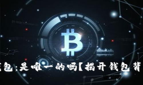 比特币钱包：是唯一的吗？揭开钱包背后的秘密