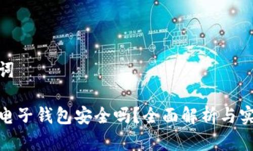 和关键词

比特币电子钱包安全吗？全面解析与实用建议