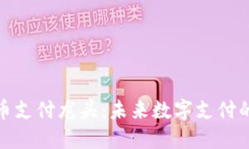 加密货币支付龙头：未来数字支付的变革者