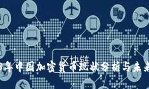 2023年中国加密货币现状分析与未来展望