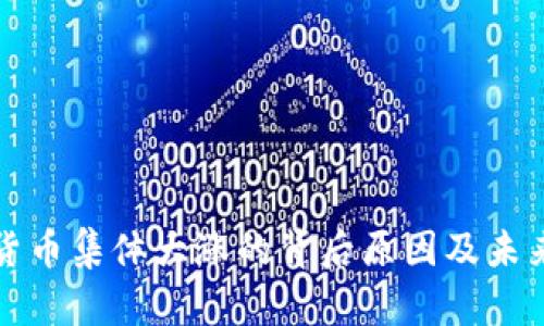 加密货币集体大涨的背后原因及未来展望