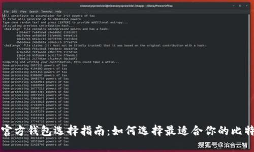 比特币官方钱包选择指南：如何选择最适合你的比特币钱包
