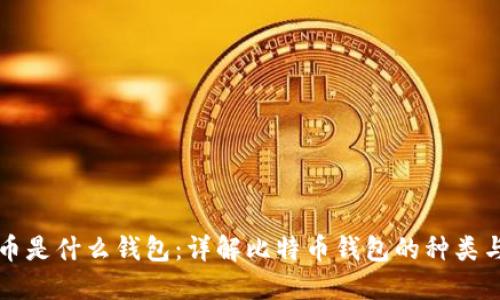 比特币是什么钱包：详解比特币钱包的种类与功能