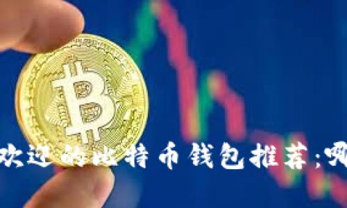 2023年最受欢迎的比特币钱包推荐：哪个最适合你？