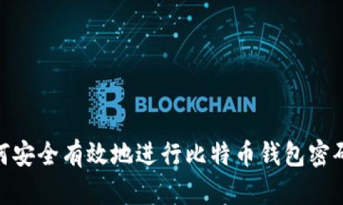 : 如何安全有效地进行比特币钱包密码校验