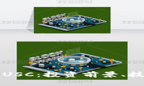 深入了解加密货币USC：投资前景、技术背景与市场分析