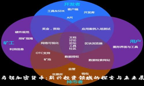淡马锡加密货币：新兴投资领域的探索与未来展望