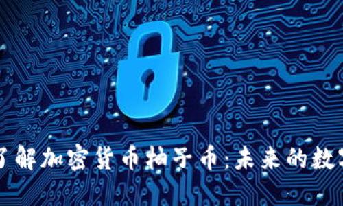 深入了解加密货币柚子币：未来的数字资产