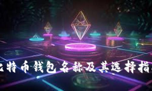 比特币钱包名称及其选择指南