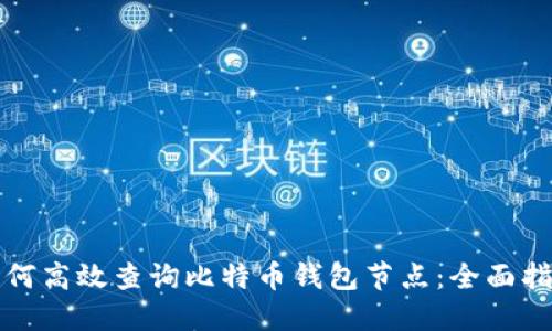 如何高效查询比特币钱包节点：全面指南