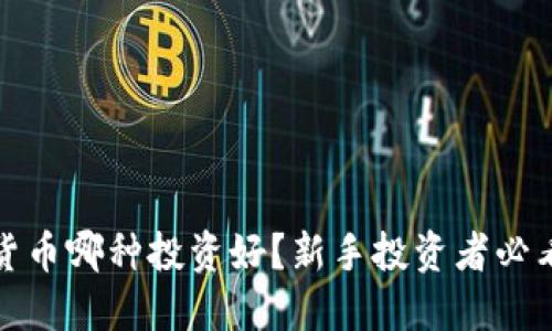 加密货币哪种投资好？新手投资者必看指南