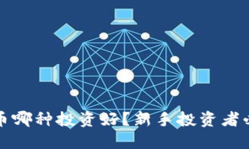加密货币哪种投资好？新手投资者必看指南