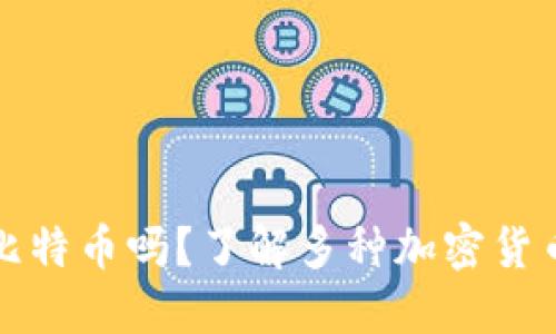 比特币钱包只能放比特币吗？了解多种加密货币钱包的功能与选择