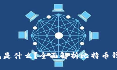 biaso比特币钱包是什么？全面解析比特币钱包的种类与功能