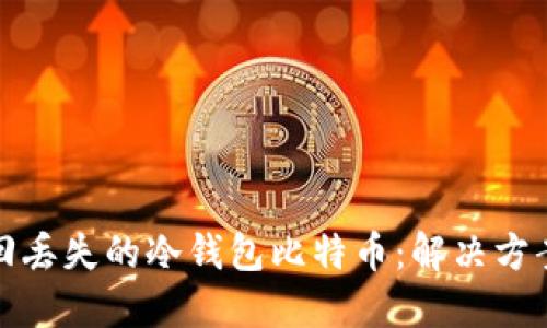 如何找回丢失的冷钱包比特币：解决方案与建议