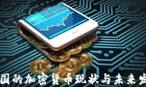 
中国的加密货币现状与未来发展