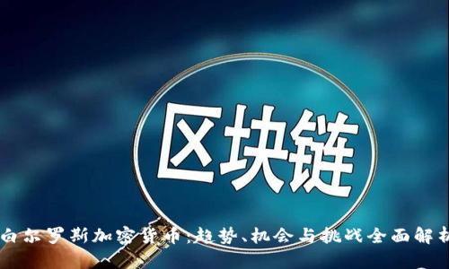 白尔罗斯加密货币：趋势、机会与挑战全面解析